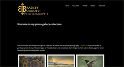 Desktop Screenshot of bradleyburquest.com